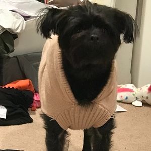 Meet your Posher, Gaby